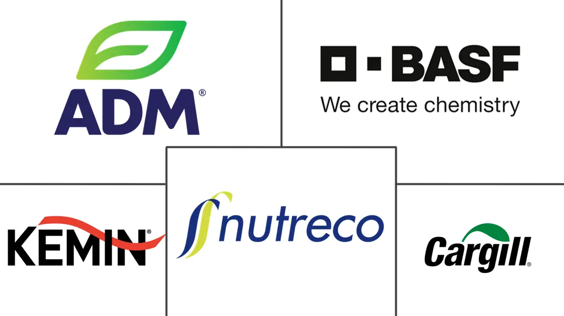 Major players in Animal Feed Preservatives industry