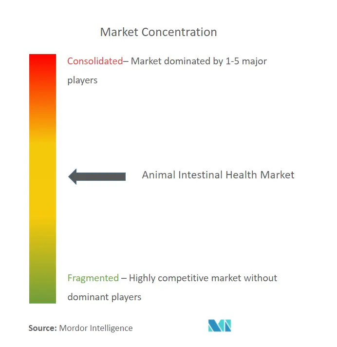 Animal Intestinal Health market - Market Concentration Image.PNG