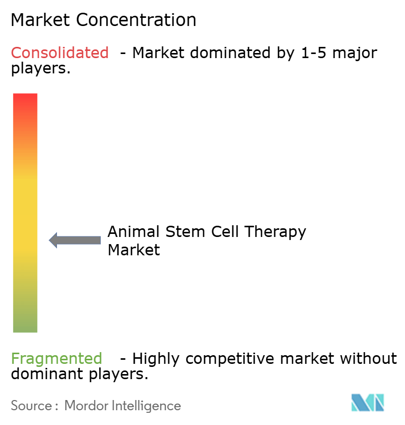 Animal Stem Cell Therapy Market Concentration