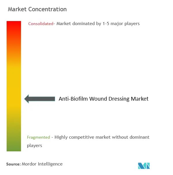 Anti-Biofilm Wound Dressing Market Concentration
