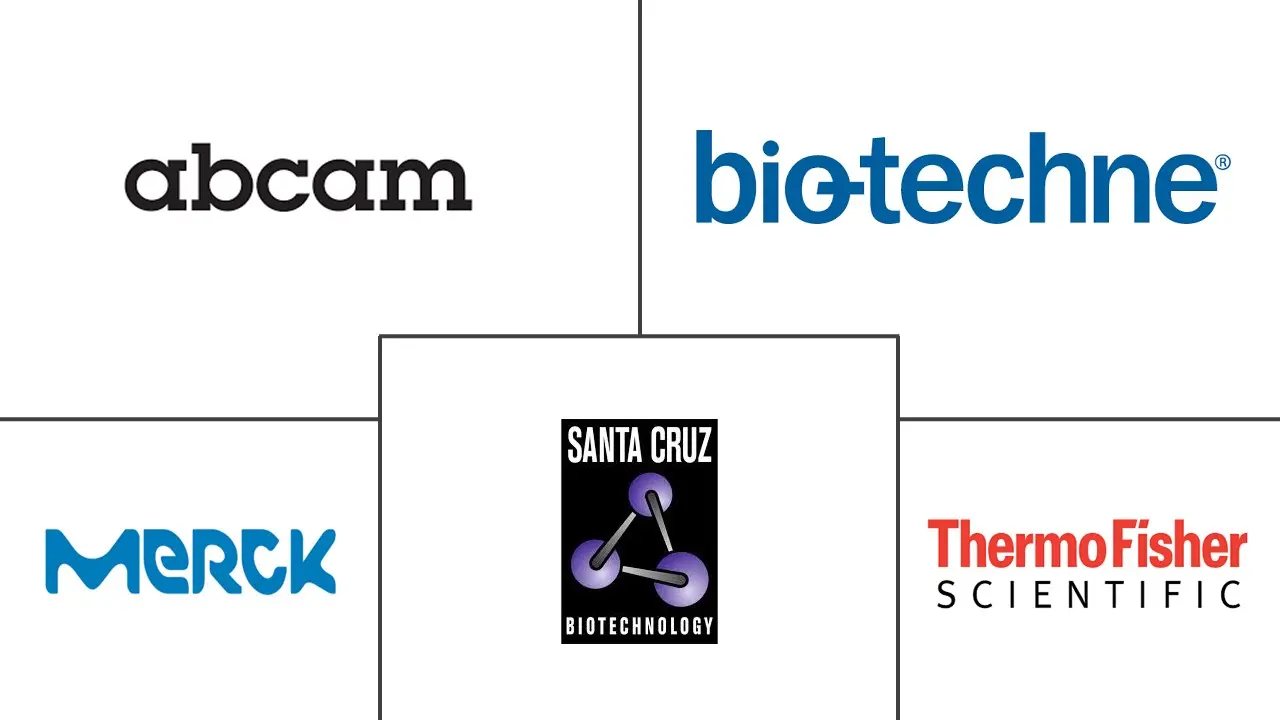 Major players in Anti Cathepsin B industry