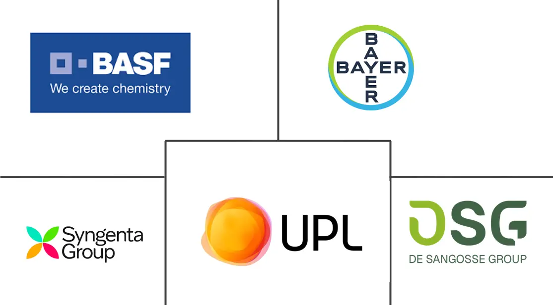 Logotipo de empresas relacionadas