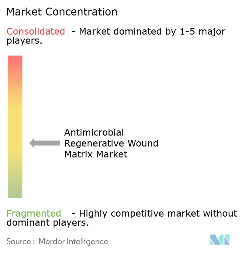 Antimicrobial Regenerative Wound Matrix Market Concentration