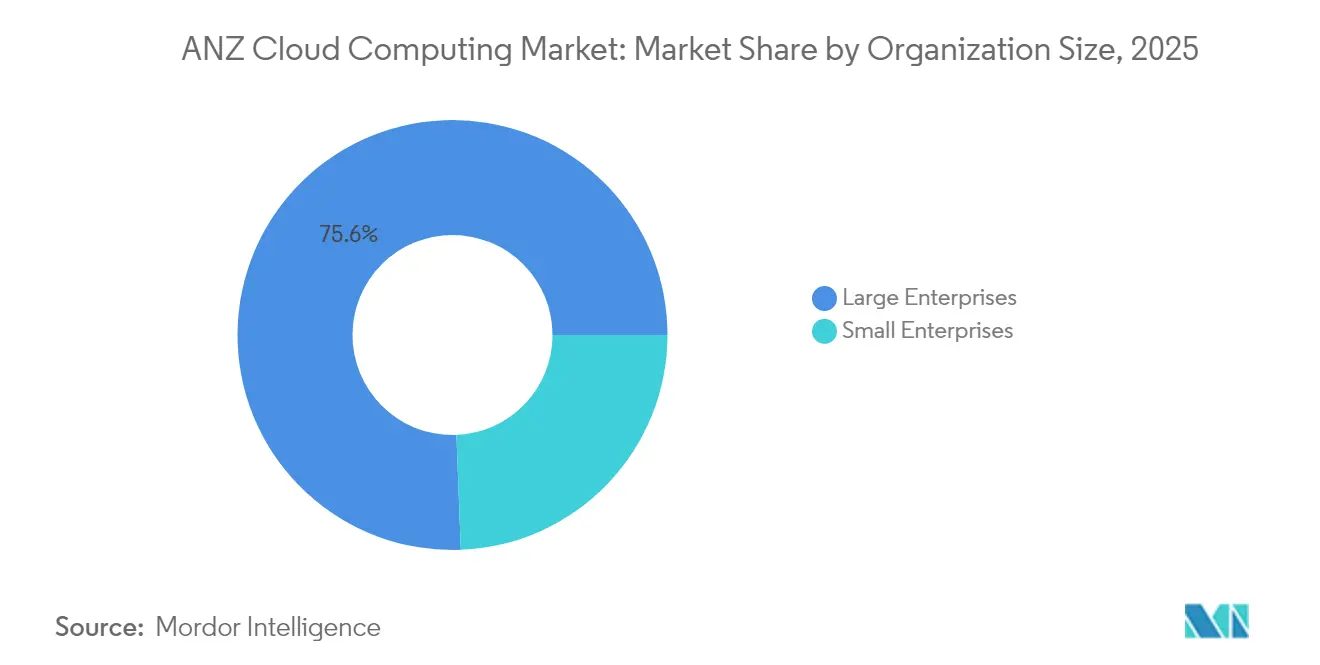 ANZ Cloud Computing Market: Market Share by Organization Size, 2025