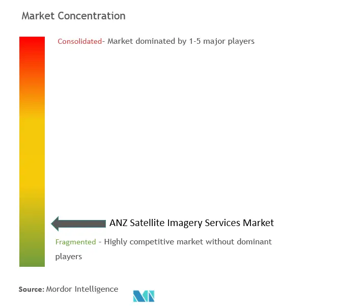 ANZ衛星画像サービス市場の集中度