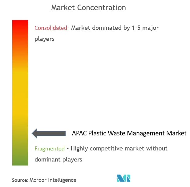 Asia-Pacific Plastic Waste Management Market Concentration