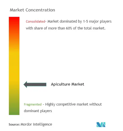 Dabur India Limited, Bartnik , Arnold Honeybee, Miller’s Honey Company, and Beehive Botanicals Inc