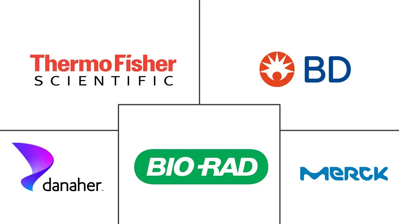Logo delle aziende correlate