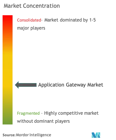 Application Gateway Market Concentration