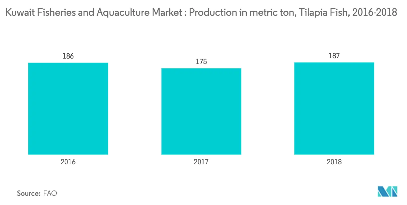 Tilapia production in Kuwait
