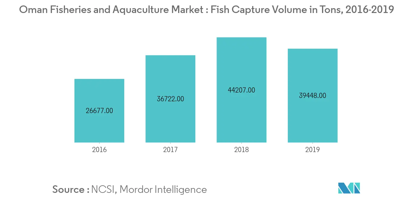Oman Fisheries and Aquaculture, Fish Capture Volume, In Tons, 2016-2019