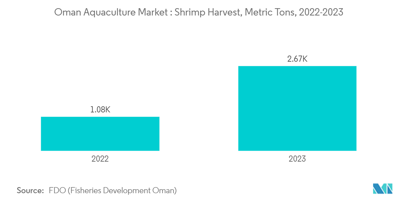 オマーンの水産養殖市場：エビの収穫量、メートルトン、2022-2023年