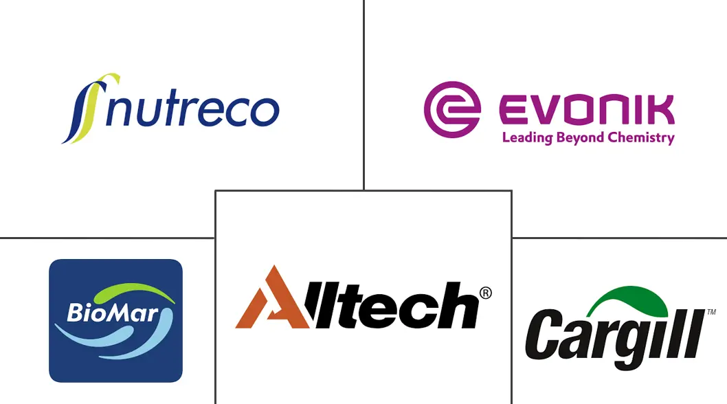 Related Companies Logo