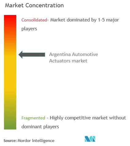 Argentina Automotive Actuators Market Concentration