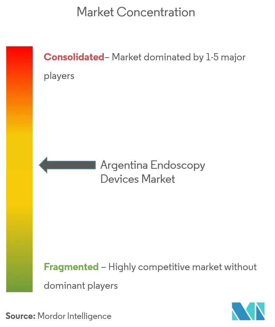 Argentina Endoscopy Devices Market Concentration