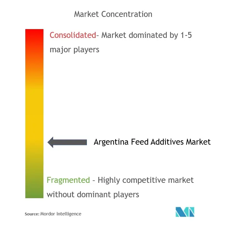 Additifs alimentaires pour l'ArgentineConcentration du marché