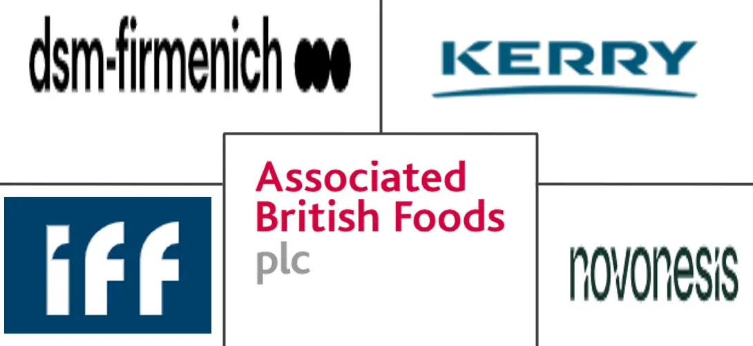 Hauptakteure in Argentinischer Lebensmittelenzymmarkt Branche
