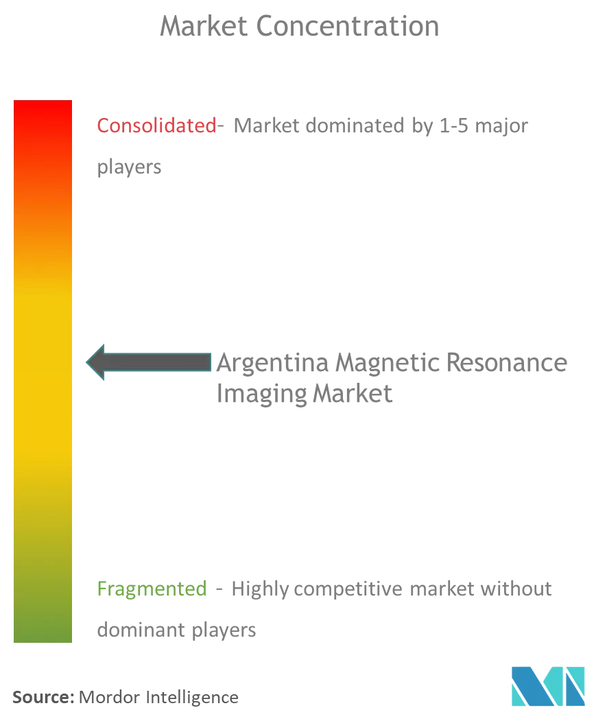 アルゼンチン磁気共鳴画像市場の集中度
