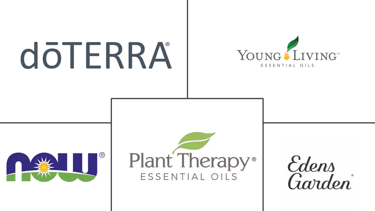 Major players in Aromatherapy Carrier Oil industry