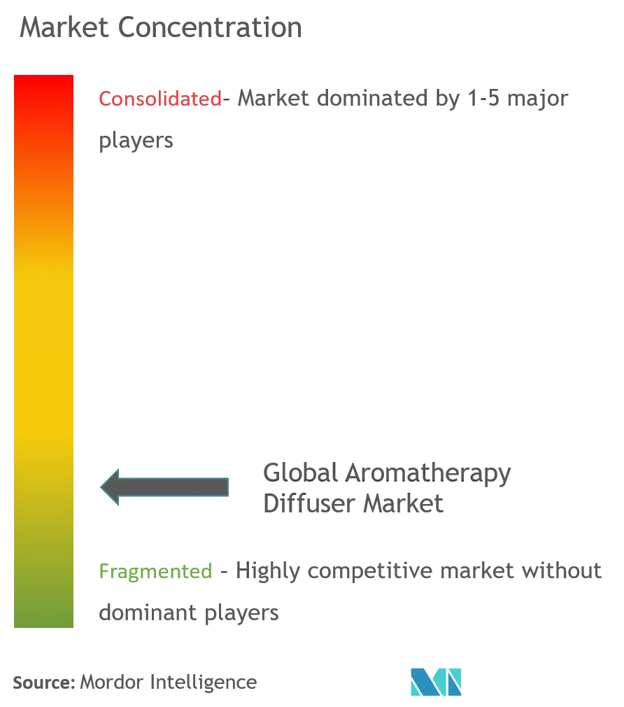 Aromatherapy Diffuser Market Concentration