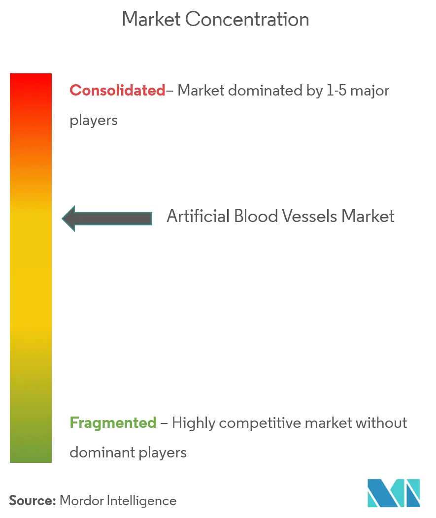 Artificial Blood Vessels Market Concentration