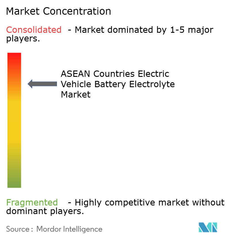 ASEAN Electric Vehicle Battery Electrolyte Market Concentration