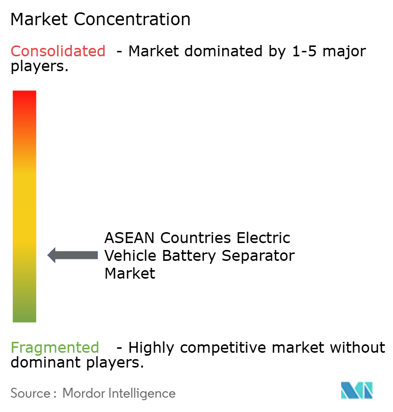 ASEAN Countries Electric Vehicle Battery Separator Market Concentration