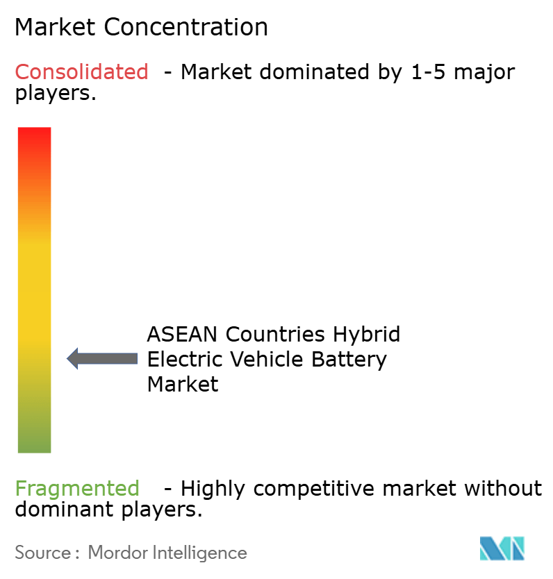 ASEAN Countries Hybrid Electric Vehicle Battery Market Concentration