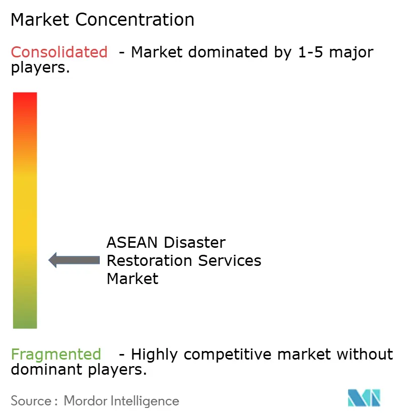 ASEAN Disaster Restoration Services Market Concentration
