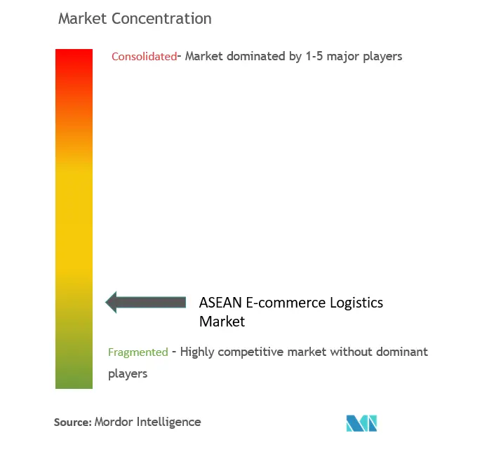 Logística de comercio electrónico de la ASEANConcentración del Mercado