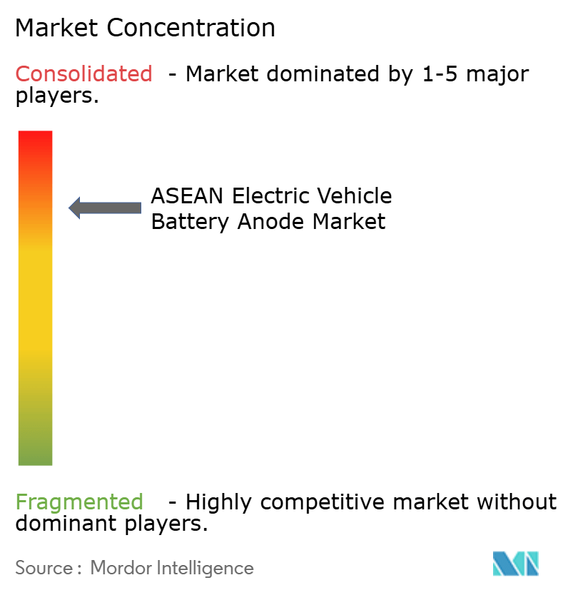 ASEAN Electric Vehicle Battery Anode Market concentration