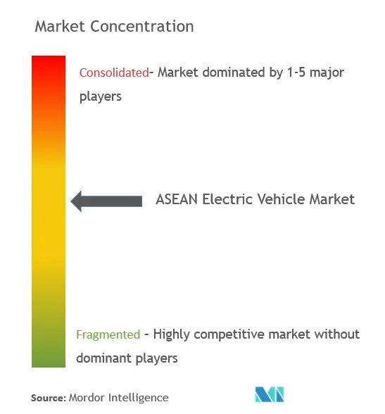 ASEAN Electric Vehicle Market Concentration