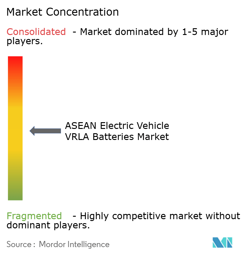 ASEAN Electric Vehicle VRLA Batteries Market Concentration