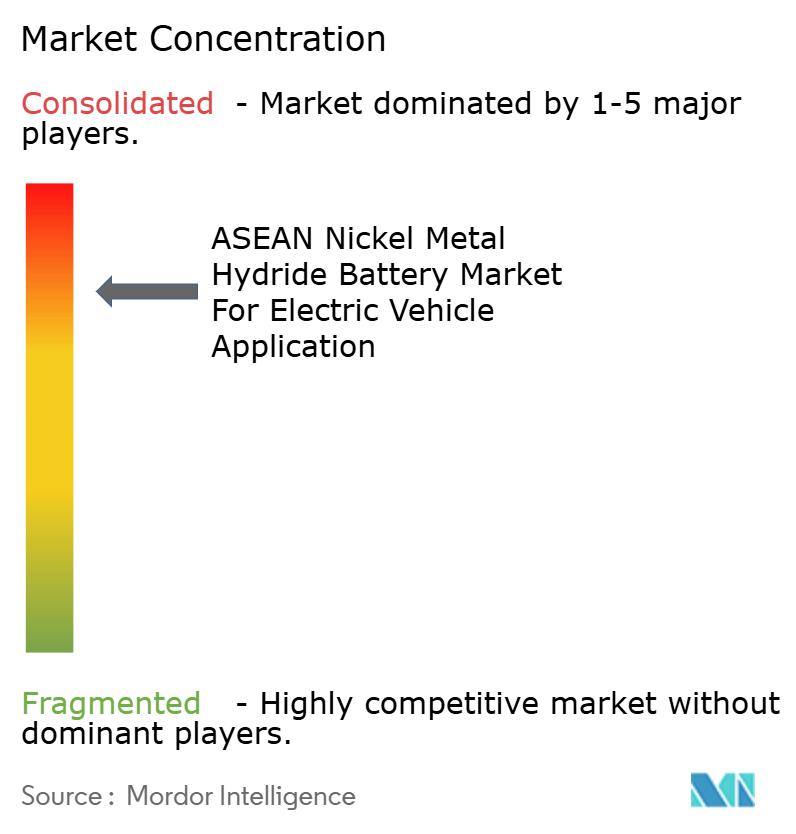 ASEAN Nickel Metal Hydride Battery Market Concentration