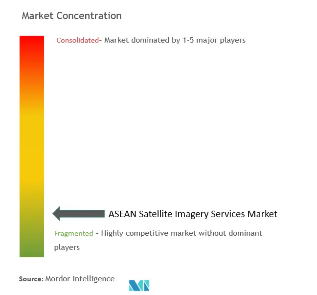 ASEAN Satellite Imagery Services Market Concentration