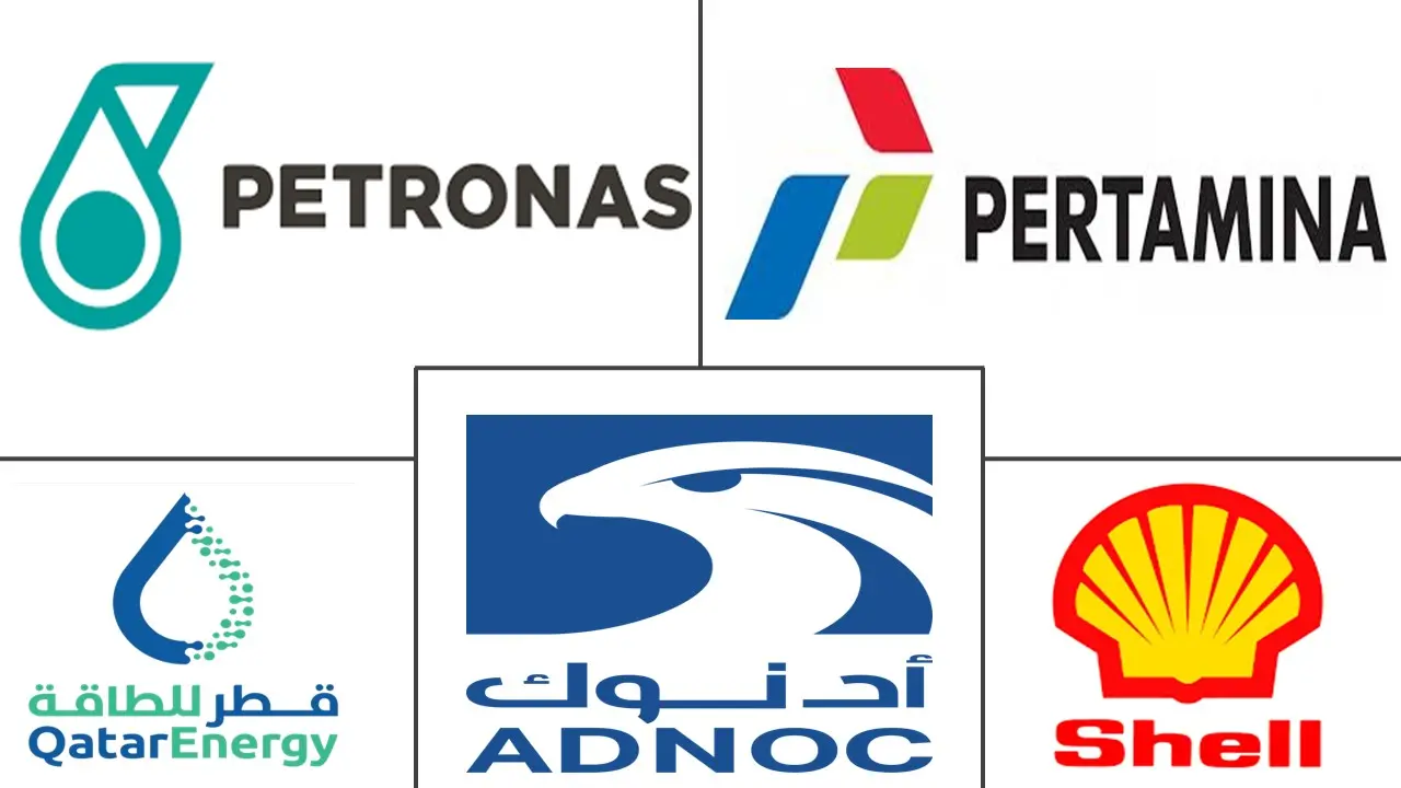 ASEAN Sulfur Market Major Players