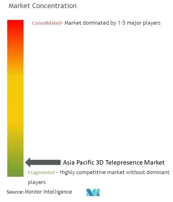 APAC 3D Telepresence Market Concentration