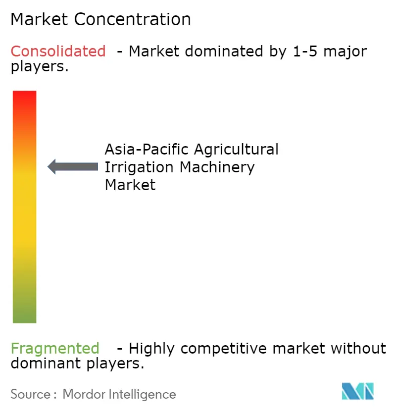 Concentração do Mercado de Maquinário de Irrigação Agrícola da Ásia-Pacífico