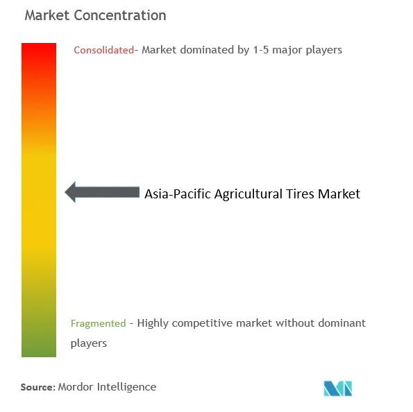 アジア太平洋農業用タイヤ市場の集中度