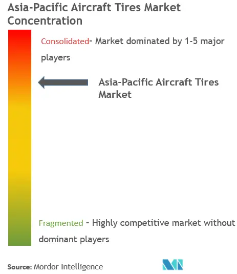 Asia-Pacific Aircraft Tires Market Concentration