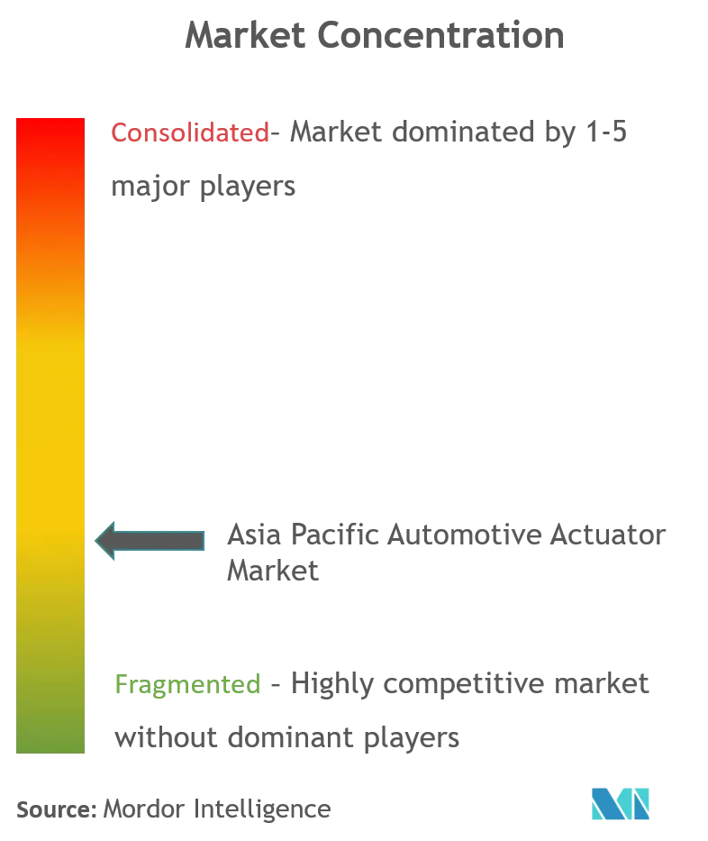 Asia Pacific Automotive Actuator Market_Market Concentration.png