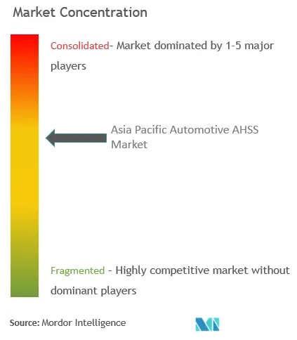 Asia Pacific Automotive AHSS Market Concentration