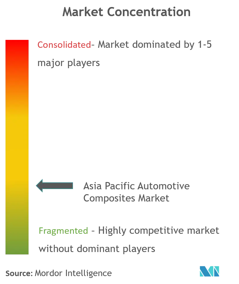 Asia-Pacific Automotive Composites Market Concentration