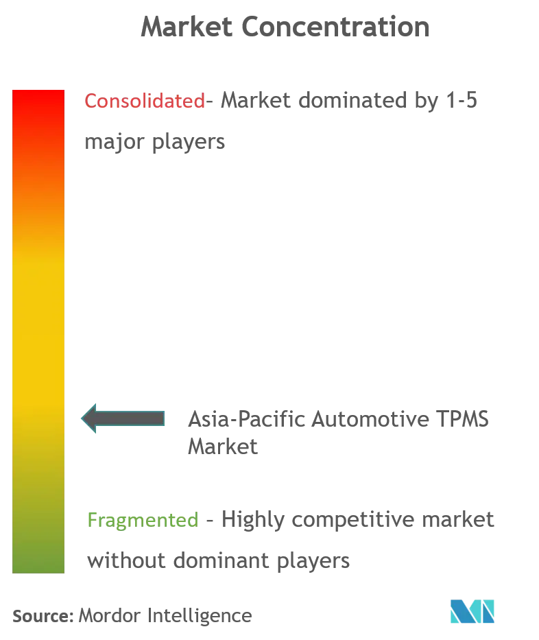 Asien-Pazifik Automotive TPMS Market_Market Concentration.png