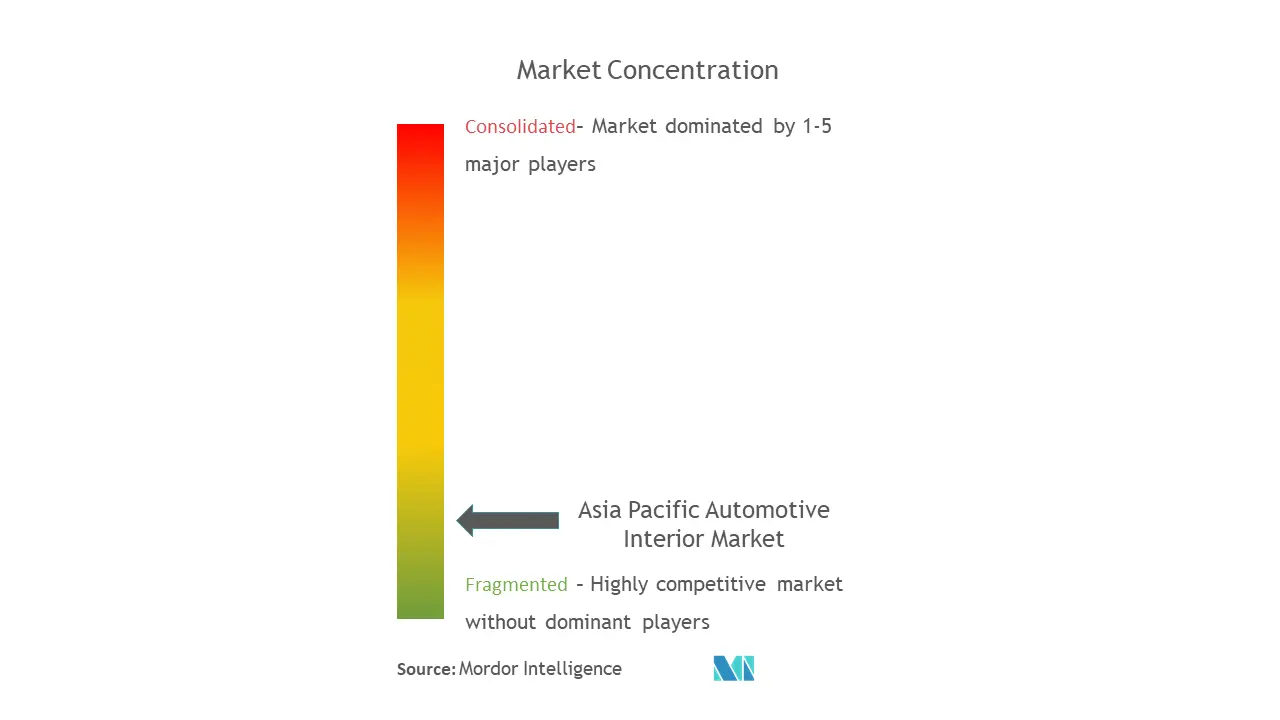 Asia Pacific Automotive Interiors Market Concentration