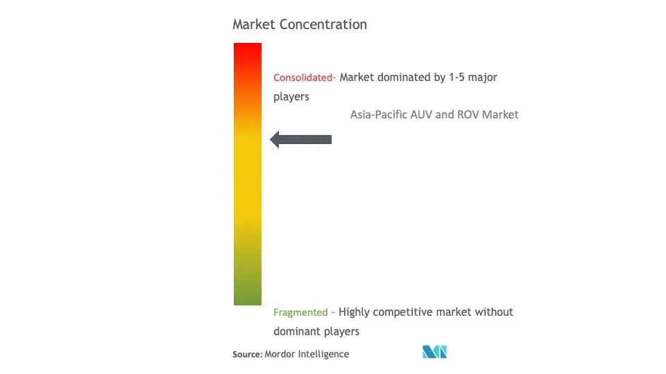 Asia-Pacific AUV and ROV Market Concentration