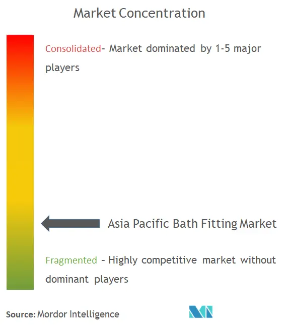 Instalación de baño de Asia PacíficoConcentración del Mercado