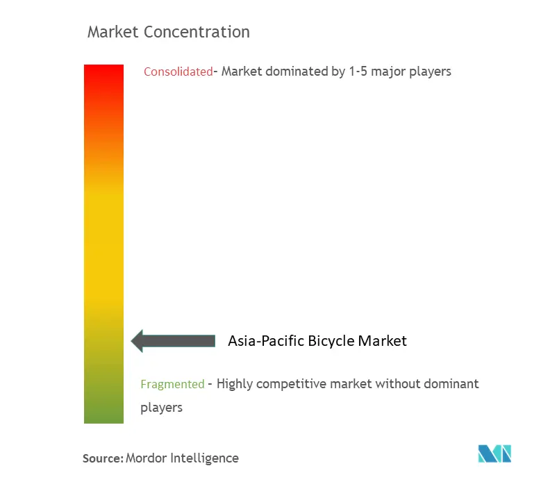 Asia-Pacific Bicycle Market Conentration