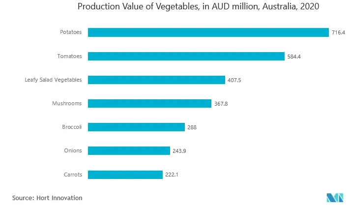 Mercado de embalagens de alimentos enlatados da APAC