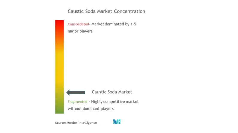 Market Concentration - Caustic Soda Market.png